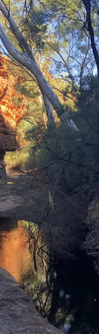 Garden Eden im Kings Canyon